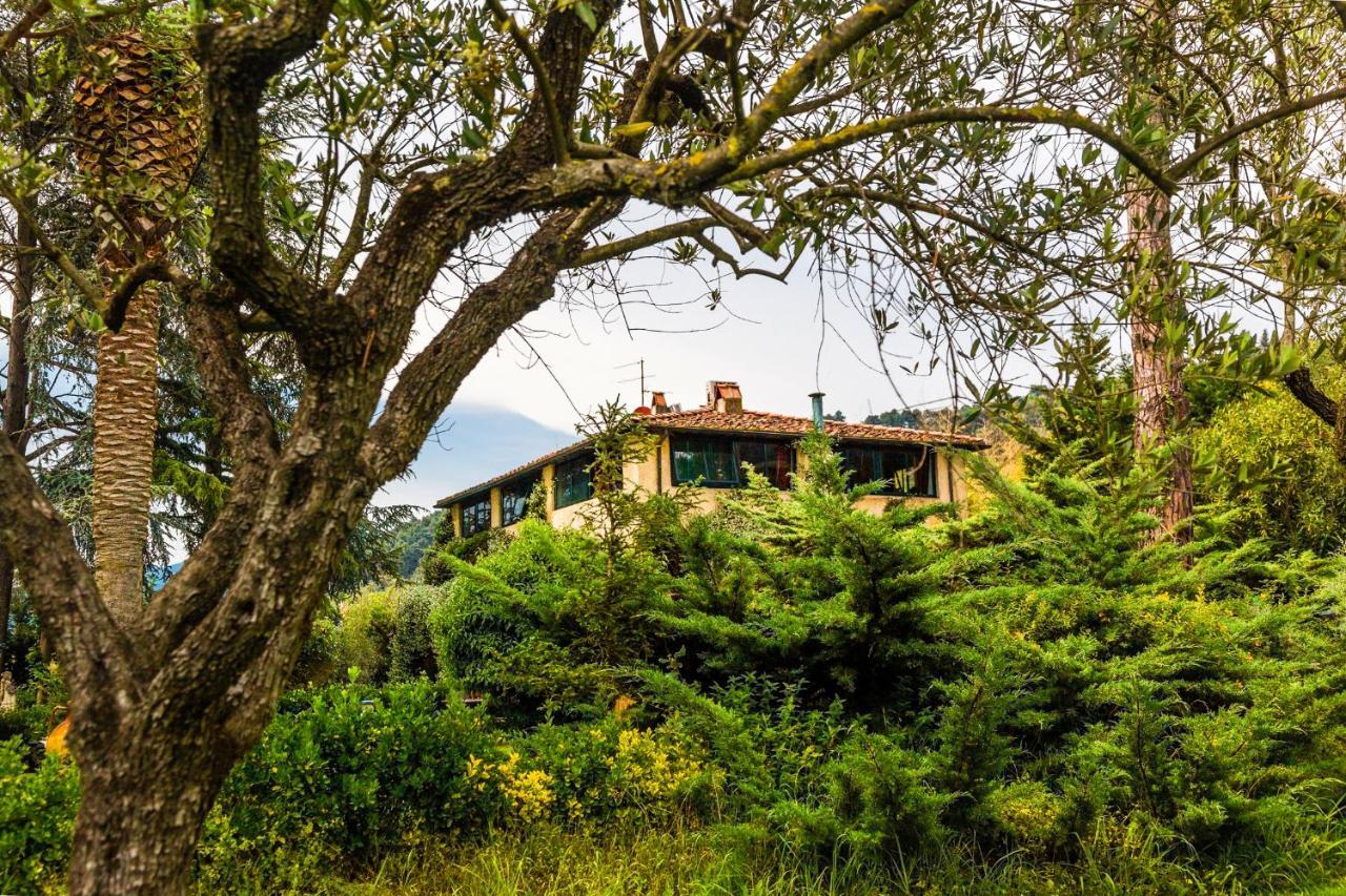 Bed and Breakfast Casa Matilde Mommio Екстер'єр фото